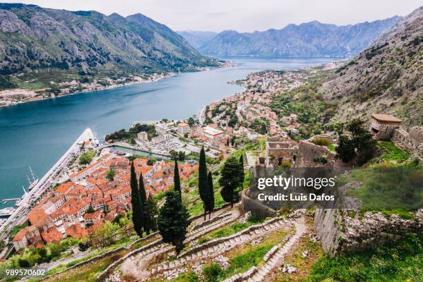 kotor old town and bay overview - dafos fotografías e imágenes de stock