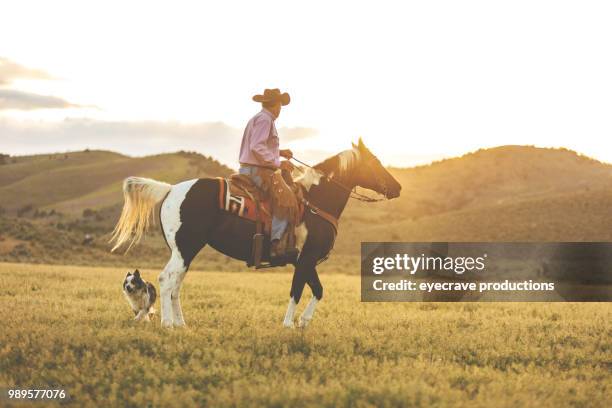 utah cowboy at sunset western outdoors and rodeo stampede roundup riding horses herding livestock - paint horse stock pictures, royalty-free photos & images