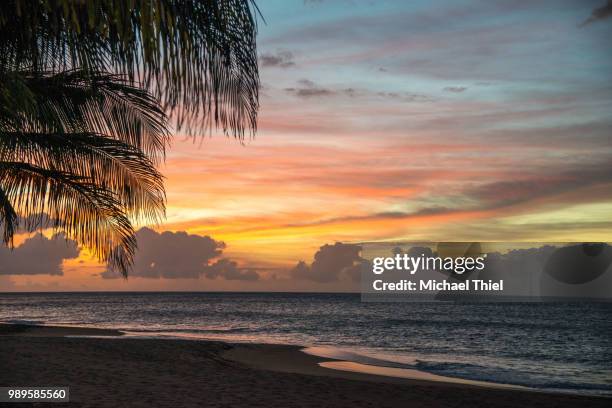 sundowner - guadeloupe beach stock pictures, royalty-free photos & images