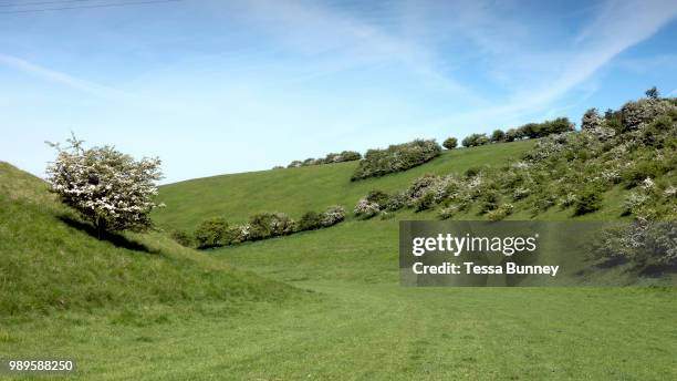 Yorkshire Spring 6,372 Yorkshire Spring Stock Photos, High-Res Pictures, and Images ...