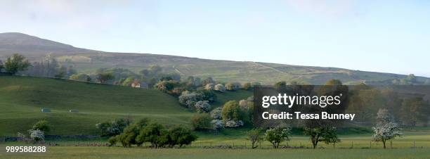 Typical Swaledale landscape near the village of Healaugh in North Yorkshire, United Kingdom on 28th May 2018. Swaledale is the valley of the river...