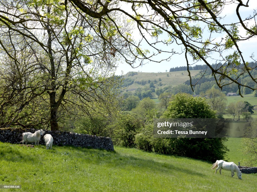 Wharfedale Landscape In The Yorkshire Dales National Park