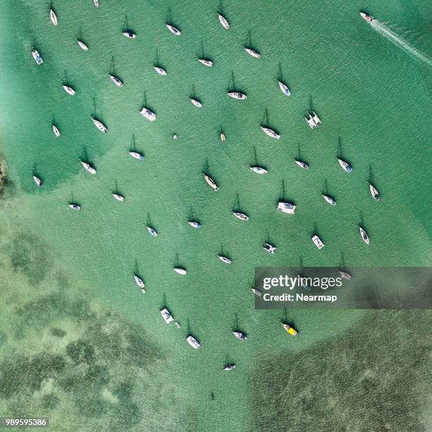 aerial view of crandon park marina. florida, usa - amarre fotografías e imágenes de stock