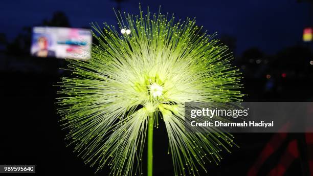 img_20150718_193528.jpg - dharmesh stock pictures, royalty-free photos & images