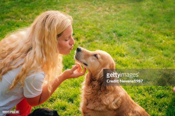 giovane donna che gioca con il suo cane all'aperto. - rappresentare foto e immagini stock