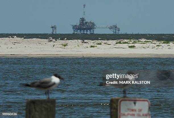 Seabirds rest in front of an oil rig on Dauphin Island in Alabama as the island waits for the expected arrival of oil from the BP Deepwater Horizon...