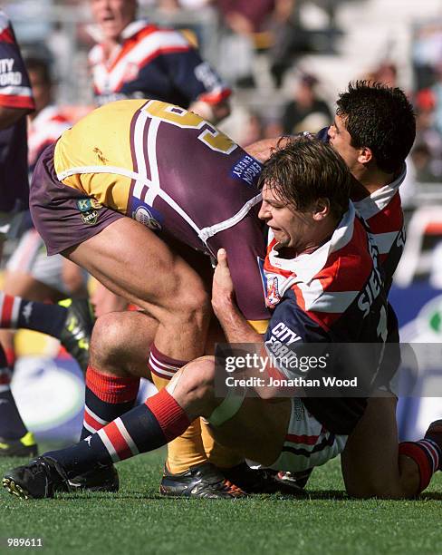 Luke Ricketson Body 216 Luke Ricketson Roosters Stock Photos, High-Res Pictures, and Images ...