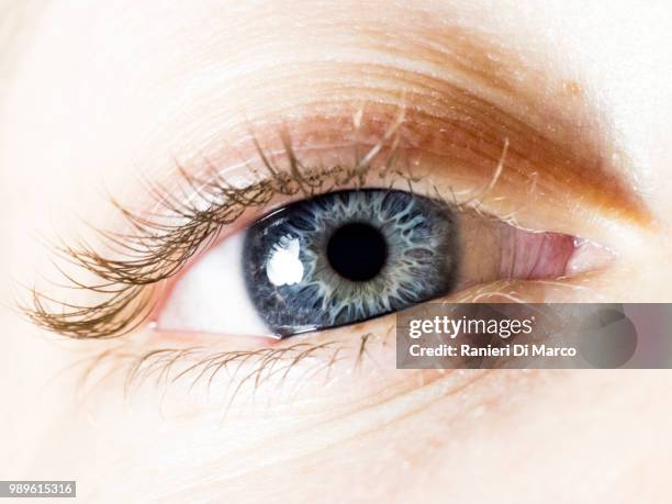 behind blue eye(s) - ranieri stock pictures, royalty-free photos & images