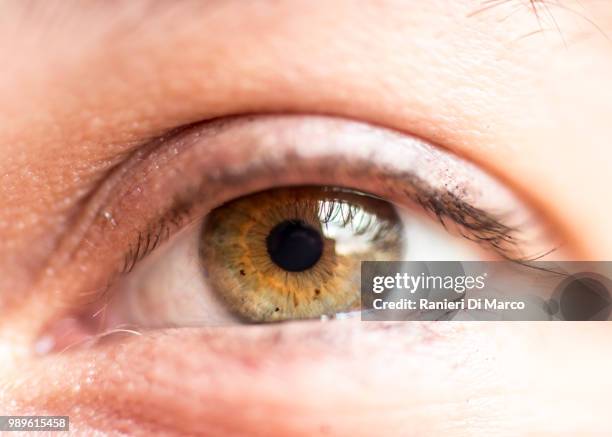 behind green eye(s) - ranieri stock pictures, royalty-free photos & images