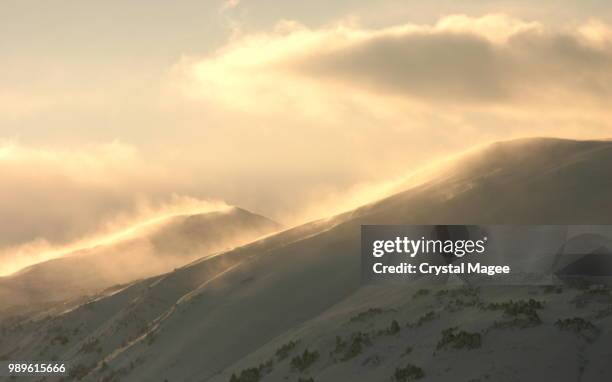 chugach mountains, alaska - chugach mountains stock-fotos und bilder