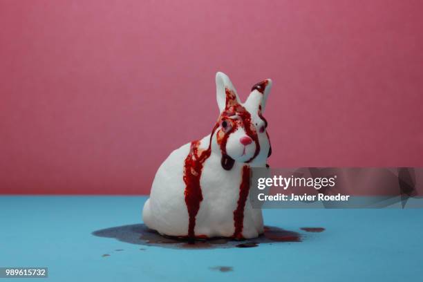 blood - white rabbit stock pictures, royalty-free photos & images