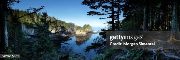 cape flattery - cape flattery 個照片及圖片檔