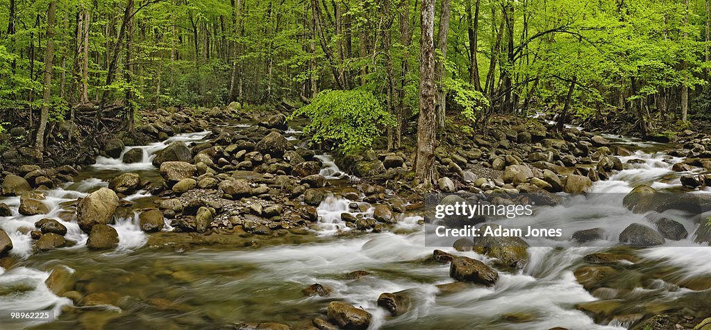 Mountain Stream