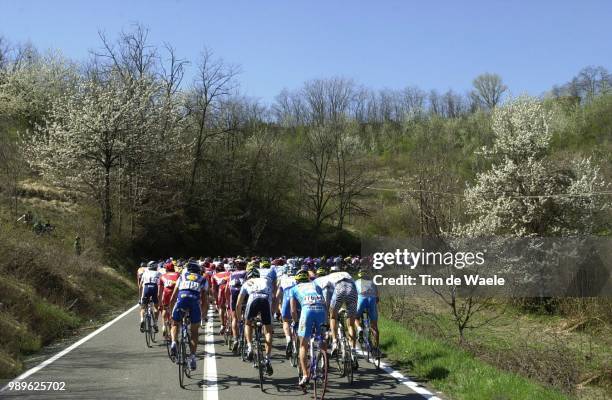 Th Milan - San Remo 2002, Illustration, Illustratie, Peloton, Paysage, Landschap, Landscape, World Cup Race, Course Coupe Du Monde, Wereldbeker...