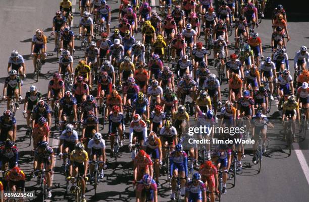 Th Milan - San Remo 2002, Peloton, Illustration, World Cup Race, Course Coupe Du Monde, Wereldbeker Wedstrijd, Milaan, Milano,