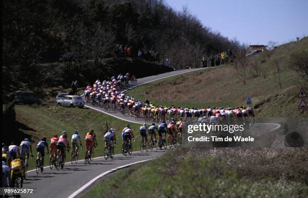 Th Milan - San Remo 2002, Peloton, Illustration, Paysage, Landschap, Landscape, World Cup Race, Course Coupe Du Monde, Wereldbeker Wedstrijd, Milaan,...