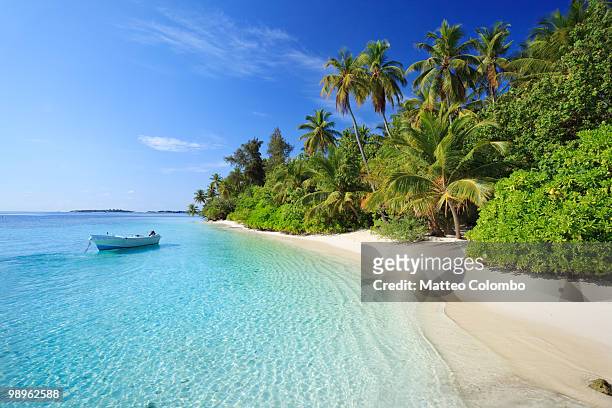 dream island - maldives beach stock pictures, royalty-free photos & images