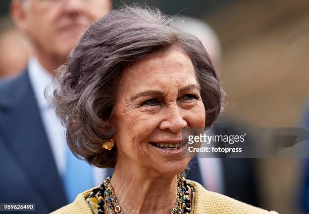 Queen Sofia inaugurates the conservation and restoration project of the arcade of Santiago's Cathedral on July 2, 2018 in Santiago de Compostela,...
