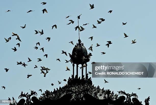 Pigeons overfly Liberation Square in downtown Guadalajara, Mexico on August 9 city where US President Barack Obama, Mexican President Felipe Calderon...