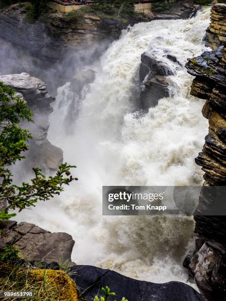 athabasca falls - athabasca falls stock pictures, royalty-free photos & images