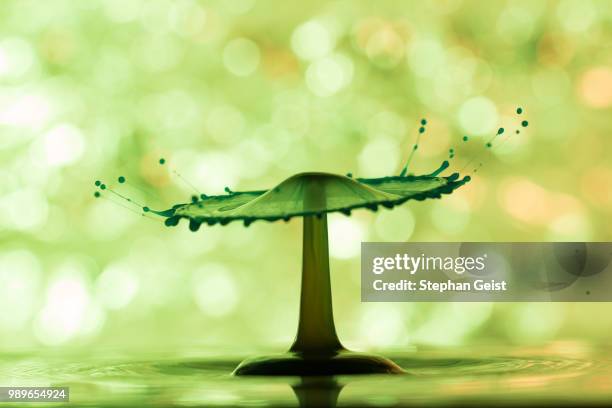 liquid art - cream drop [bokehlicious] - geist stock pictures, royalty-free photos & images