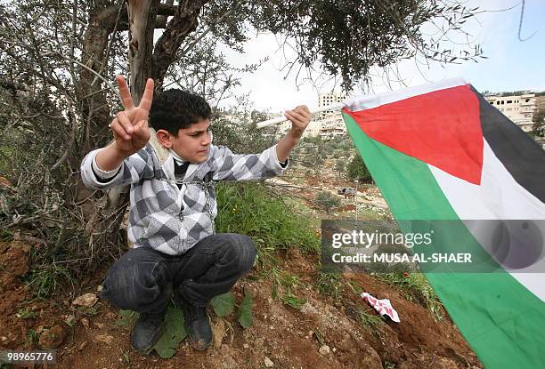 Palestinian boy holds his national flag and flashes the "V" for victory sign while chained to an olive tree which is planned to be uprooted for the...