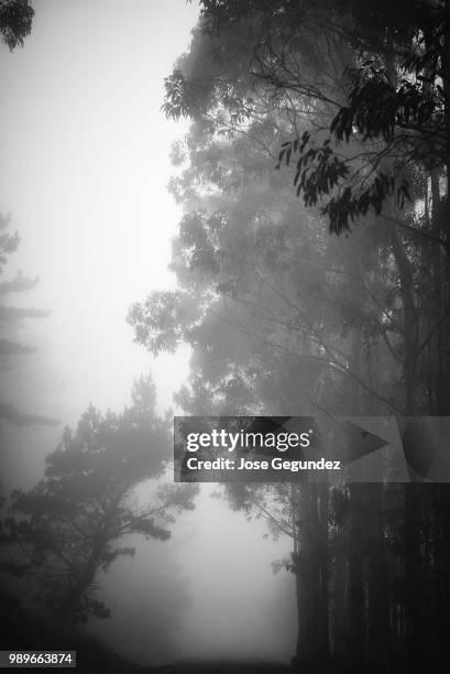 2,260 Withe& Stock Photos, High-Res Pictures, and Images - Getty Images