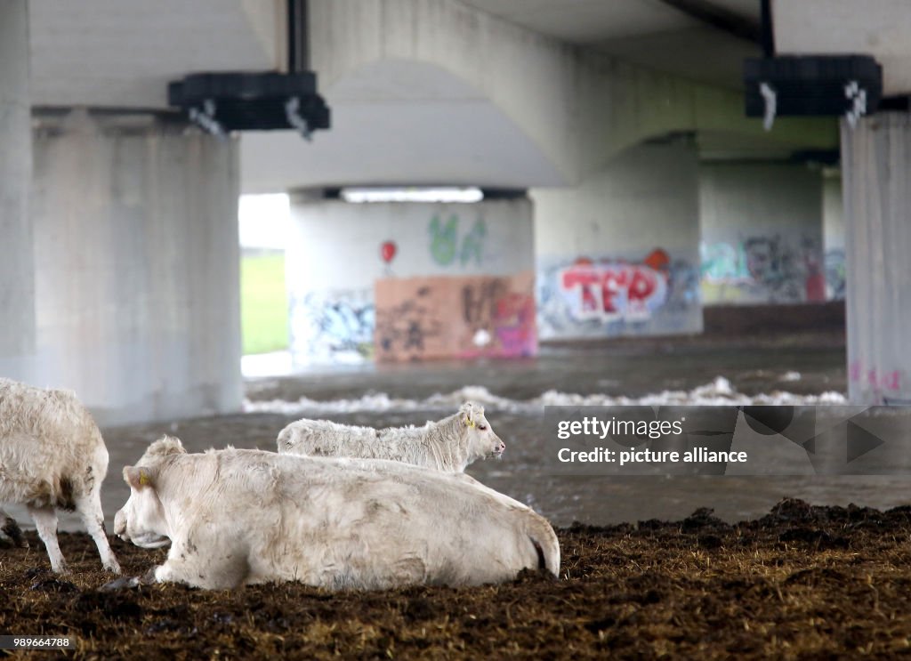 Floodwater in Germany