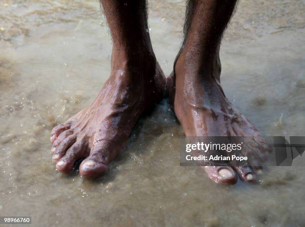 feet in floodwater - comportamientos de la flora fotografías e imágenes de stock