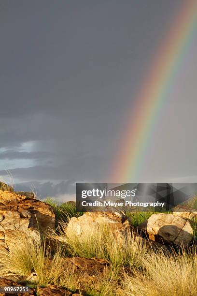 rainbow over rocky landscape in johannesburg, gauteng province, south africa - gauteng province fotografías e imágenes de stock