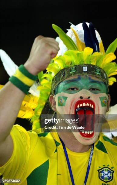 Final, Germany - Brazil, Wc 2002 /Supporters, Fans /Allemagne, Duitsland, Bresil, Brasil,