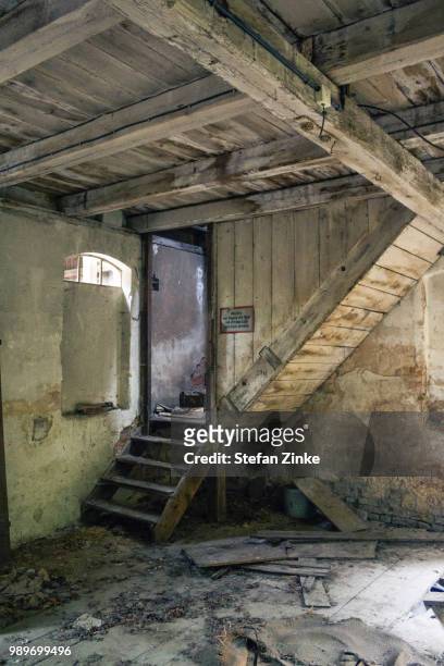 small stairs - zinke stock pictures, royalty-free photos & images