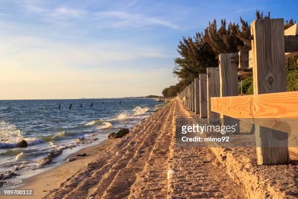 beach coast landscape - mimo stock pictures, royalty-free photos & images