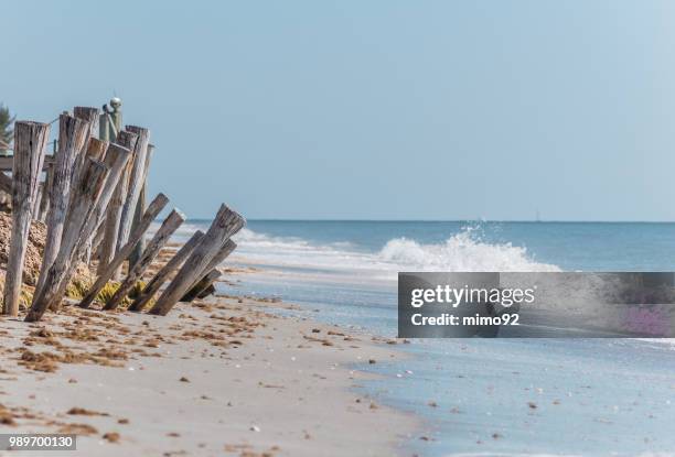 beautiful beach view - mimo photos et images de collection