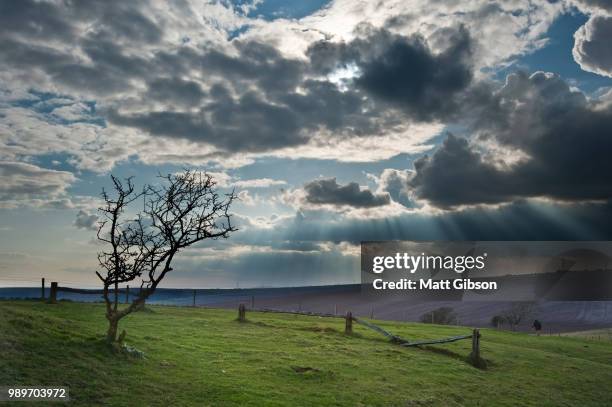 sttunning scene across escarpment countryside landscape with bea - escarpment ストックフォトと画像