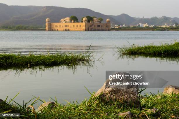 jal mahal - jal mahal stock pictures, royalty-free photos & images