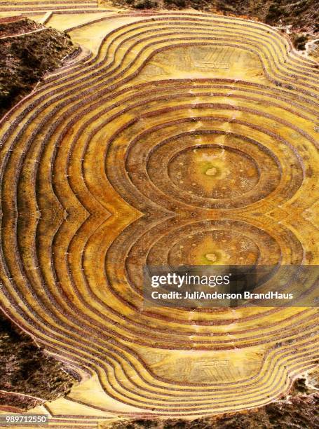 moray - haus stock pictures, royalty-free photos & images