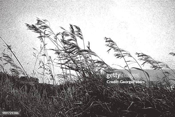 grass farm iowa - swaying stock illustrations