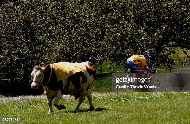 Tdf 2002, Stage 18, Armstrong Lance, Maillotjaune, Gele Trui, Yellow Jersey, Credit Lyonnais, Illustration, Illustratie, Vache, Koe, Cow, Tour De...