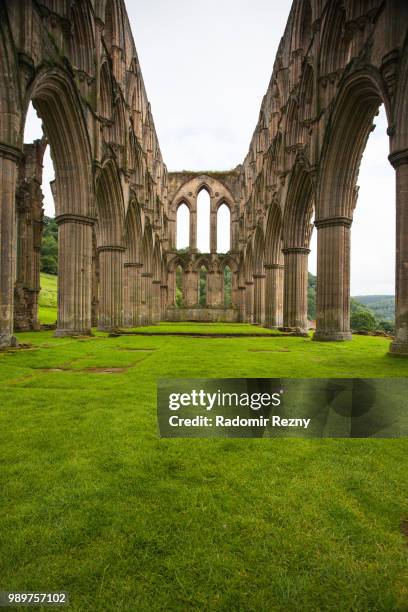 rievaulx abbey - rievaulx abbey stock pictures, royalty-free photos & images
