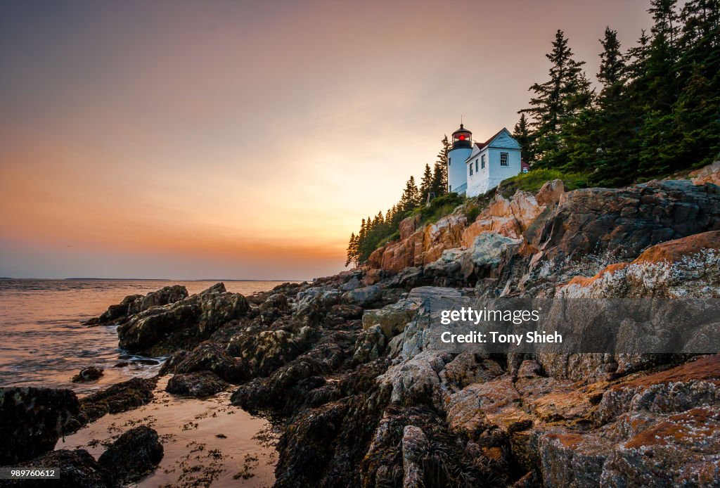 Bass Harbor Head Light lighthouse at dusk, Maine, USA