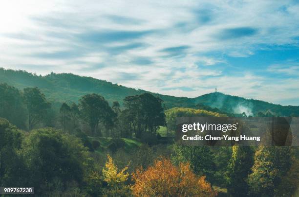 mount lofty botanic garden winter - winter garden stock pictures, royalty-free photos & images