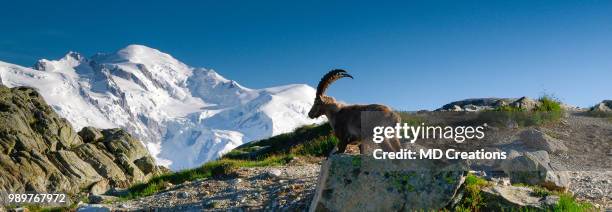 une bien jolie vue - jolie foto e immagini stock