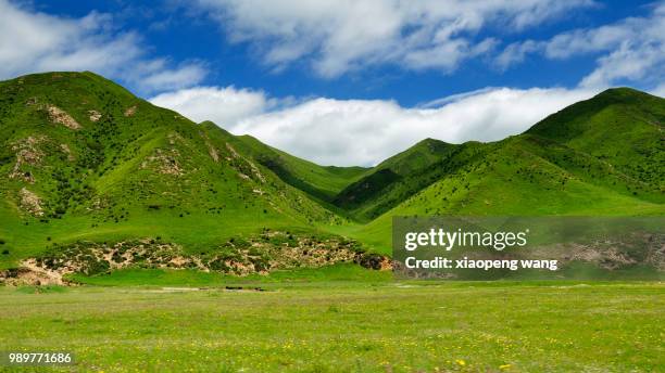 passing the prairie - xiaopeng stock-fotos und bilder