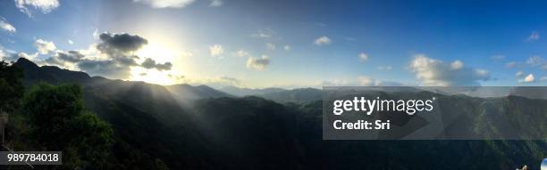 nilgiri's mountains - nilgiri stock pictures, royalty-free photos & images