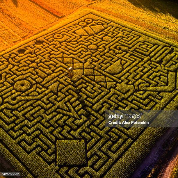 the huge halloween's corn maze in pennsylvania, poconos region - alex potemkin or krakozawr stock pictures, royalty-free photos & images