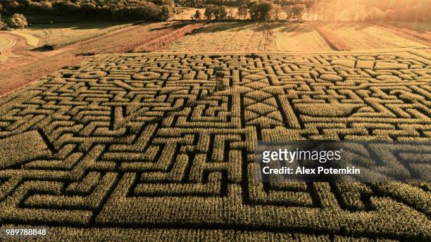 der riesige halloweens maislabyrinth in pennsylvania, poconos region - alex potemkin or krakozawr stock-fotos und bilder
