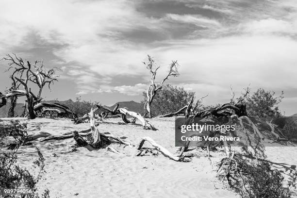 mesquite sand flat dunes, death valley - mesquite flat dunes stock pictures, royalty-free photos & images