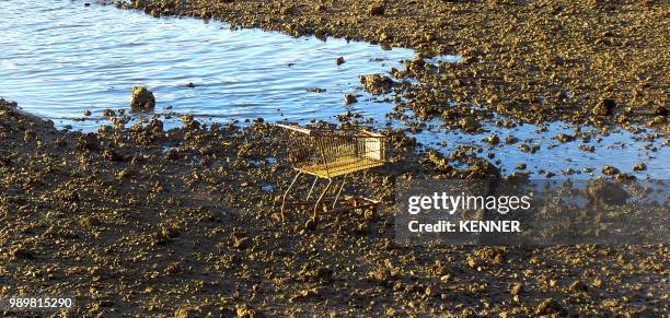 Mess= Photos and Premium High Res Pictures - Getty Images