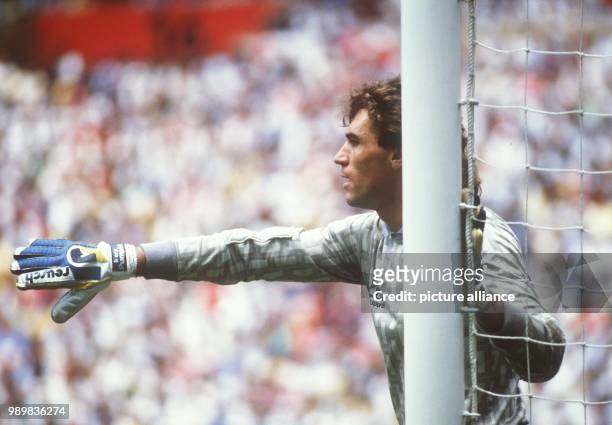 Argentinian goalkeeper Nery Pumpido gives instructions to his defence from the goalpost. On their way to the title the Argentinian national team wins...